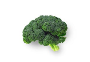 Brocolli shaped like brain isolated