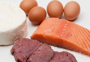 Some exemples of animal protein, eggs, cheese, fish, and