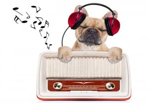 dog   relax music